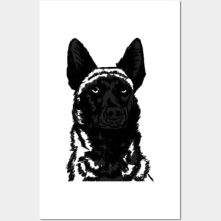 Malinois GSD Dutch Black Posters and Art